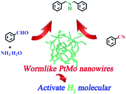 Graphical abstract: A highly active worm-like PtMo nanowire for the selective synthesis of dibenzylamines