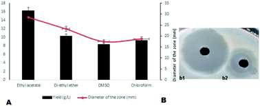 Graphical abstract: An antibiotic agent pyrrolo[1,2-a]pyrazine-1,4-dione,hexahydro isolated from a marine bacteria Bacillus tequilensis MSI45 effectively controls multi-drug resistant Staphylococcus aureus