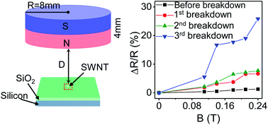 Graphical abstract: Large positive magnetoresistance in semiconducting single-walled carbon nanotubes at room temperature