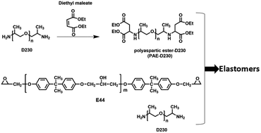 Graphical abstract: Facile preparation of epoxy based elastomers with tunable Tgs and mechanical properties