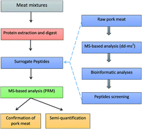 Graphical abstract: Authentication of pork in meat mixtures using PRM mass spectrometry of myosin peptides