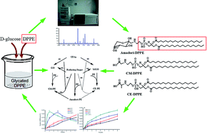 Graphical abstract: A preliminary study on the formation pathways of glycated phosphatidylethanolamine of food rich in phospholipid during the heat-processing