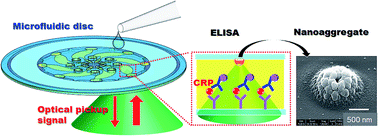 Graphical abstract: An optical pickup enzyme-linked immunosorbent assay (ELISA) with a microfluidic disk