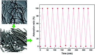 Graphical abstract: Carbon nanotube-alumina strips as robust, rapid, reversible adsorbents of organics