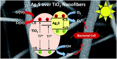 Graphical abstract: Photo-reduction of heavy metal ions and photo-disinfection of pathogenic bacteria under simulated solar light using photosensitized TiO2 nanofibers