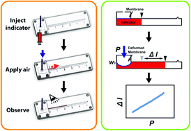 Graphical abstract: A microfluidic method to measure bulging heights for bulge testing of polydimethylsiloxane (PDMS) and polyurethane (PU) elastomeric membranes