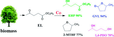 Graphical abstract: Supported cobalt catalysts for the selective hydrogenation of ethyl levulinate to various chemicals