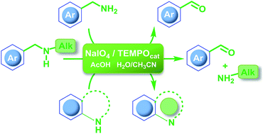 Graphical abstract: Sodium periodate/TEMPO as a selective and efficient system for amine oxidation