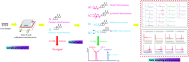 Graphical abstract: A sensitive approach for simultaneous quantification of carbonyl and hydroxyl steroids using 96-well SPE plates based on stable isotope coded-derivatization-UPLC-MRM: method development and application