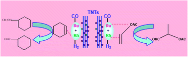 Graphical abstract: Hydroformylation of vinyl acetate and cyclohexene over TiO2 nanotube supported Rh and Ru nanoparticle catalysts