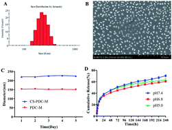 Graphical abstract: Fabrication and characterization of a novel self-assembling micelle based on chitosan cross-linked pectin–doxorubicin conjugates macromolecular pro-drug for targeted cancer therapy