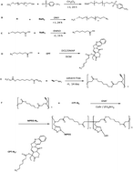 Graphical abstract: Preparation and physicochemical characterization of camptothecin conjugated poly amino ester–methyl ether poly ethylene glycol copolymer