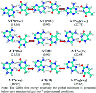 Graphical abstract: The A·T(rWC)/A·T(H)/A·T(rH) ↔ A·T*(rwWC)/A·T*(wH)/A·T*(rwH) mutagenic tautomerization via sequential proton transfer: a QM/QTAIM study