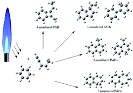 Graphical abstract: Formation of bicyclic polycyclic aromatic hydrocarbons (PAHs) from the reaction of a phenyl radical with cis-3-penten-1-yne