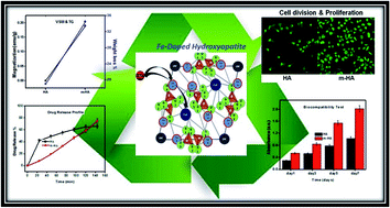 Graphical abstract: Traversing the profile of biomimetically nanoengineered iron substituted hydroxyapatite: synthesis, characterization, property evaluation, and drug release modeling