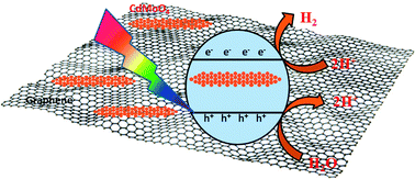 Graphical abstract: Hierarchical CdMoO4 nanowire–graphene composite for photocatalytic hydrogen generation under natural sunlight