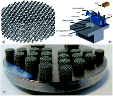 Graphical abstract: Influence of surface modifications of a nanostructured implant on osseointegration capacity – preliminary in vivo study