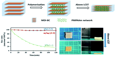 Graphical abstract: Rapid uniaxial actuation of layered bacterial cellulose/poly(N-isopropylacrylamide) composite hydrogel with high mechanical strength