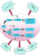 Graphical abstract: Energy generation through bioelectrochemical degradation of pentachlorophenol in microbial fuel cell