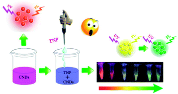 Graphical abstract: Orange emissive carbon dots for colorimetric and fluorescent sensing of 2,4,6-trinitrophenol by fluorescence conversion
