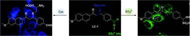 Graphical abstract: Novel dual-site fluorescent probe for monitoring cysteine and sulfite in living cells