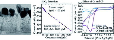 Graphical abstract: Pt-grown carbon nanofibers for detection of hydrogen peroxide