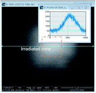 Graphical abstract: Monitoring bromide effect on radiolytic yields using in situ observations of uranyl oxide precipitation in the electron microscope