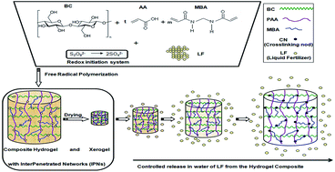 Graphical abstract: Bacterial cellulose-poly(acrylic acid-co-N,N′-methylene-bis-acrylamide) interpenetrated networks for the controlled release of fertilizers