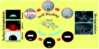 Graphical abstract: Tough interpenetrating polymer network of silicone containing polyurethane and polystyrene with self-healing, shape memory and self-cleaning attributes