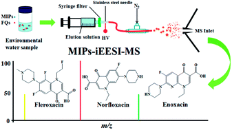 Graphical abstract: Fast quantification of fluoroquinolones in environmental water samples using molecularly imprinted polymers coupled with internal extractive electrospray ionization mass spectrometry