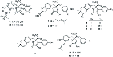 Graphical abstract: Anti-inflammatory butenolide derivatives from the coral-derived fungus Aspergillus terreus and structure revisions of aspernolides D and G, butyrolactone VI and 4′,8′′-diacetoxy butyrolactone VI