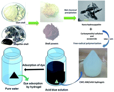 Graphical abstract: Nano-hydroxyapatite polymeric hydrogels for dye removal