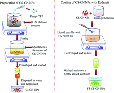 Graphical abstract: Biodistribution and targeting potential assessment of mucoadhesive chitosan nanoparticles designed for ulcerative colitis via scintigraphy