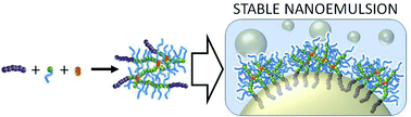 Graphical abstract: Branched copolymer-stabilised nanoemulsions as new candidate oral drug delivery systems