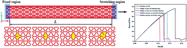 Graphical abstract: Mechanical properties of γ-graphyne nanotubes