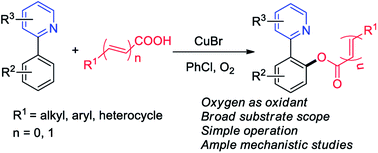 Graphical abstract: Copper-catalyzed C–H acyloxylation of 2-phenylpyridine using oxygen as the oxidant