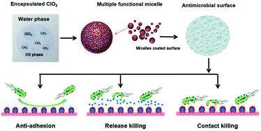Graphical abstract: A smart multi-functional coating based on anti-pathogen micelles tethered with copper nanoparticles via a biosynthesis method using l-vitamin C