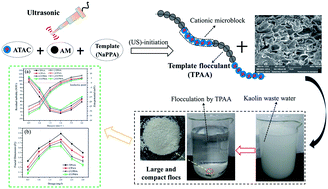 Graphical abstract: The investigation of the specific behavior of a cationic block structure and its excellent flocculation performance in high-turbidity water treatment