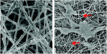 Graphical abstract: An electrospun poly(ε-caprolactone) nanocomposite fibrous mat with a high content of hydroxyapatite to promote cell infiltration