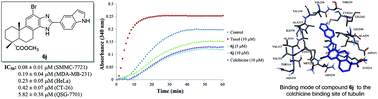 Graphical abstract: Synthesis and biological evaluation of 2-aryl-benzimidazole derivatives of dehydroabietic acid as novel tubulin polymerization inhibitors