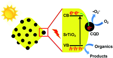 Graphical abstract: The enhancement of photocatalytic performance of SrTiO3 nanoparticles via combining with carbon quantum dots