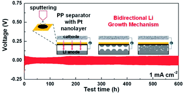 Graphical abstract: A bidirectional growth mechanism for a stable lithium anode by a platinum nanolayer sputtered on a polypropylene separator