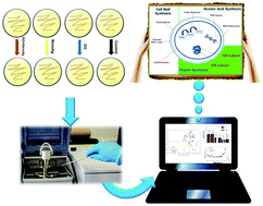 Graphical abstract: On the synergy between silver nanoparticles and doxycycline towards the inhibition of Staphylococcus aureus growth