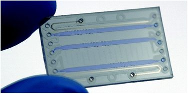 Graphical abstract: A lab-on-a-chip for preconcentration of bacteria and nucleic acid extraction