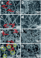 Graphical abstract: Controllable synthesis of graphene scrolls and their performance for supercapacitors