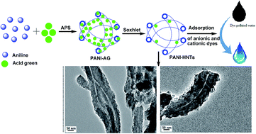 Graphical abstract: Acid green crystal-based in situ synthesis of polyaniline hollow nanotubes for the adsorption of anionic and cationic dyes