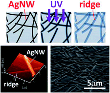 Graphical abstract: Nanoridge patterns on polymeric film by a photodegradation copying method for metallic nanowire networks