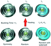 Graphical abstract: Evaporation dynamics of liquid marbles at elevated temperatures