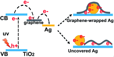 Graphical abstract: Reducing the barrier effect of graphene sheets on a Ag cocatalyst to further improve the photocatalytic performance of TiO2