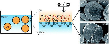 Graphical abstract: Mechanistic formation of drug-encapsulated Janus particles through emulsion solvent evaporation